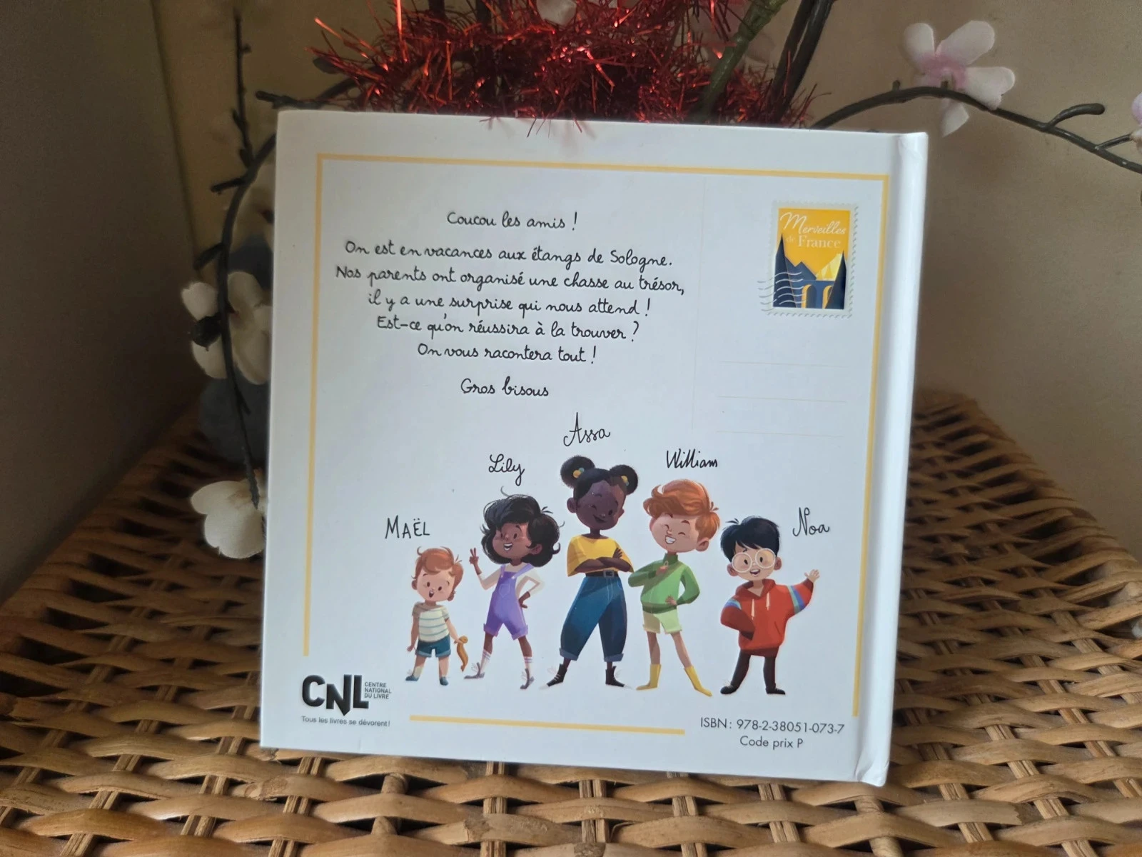 💜Caza del tesoro en Sologne libro para niños – photo 2